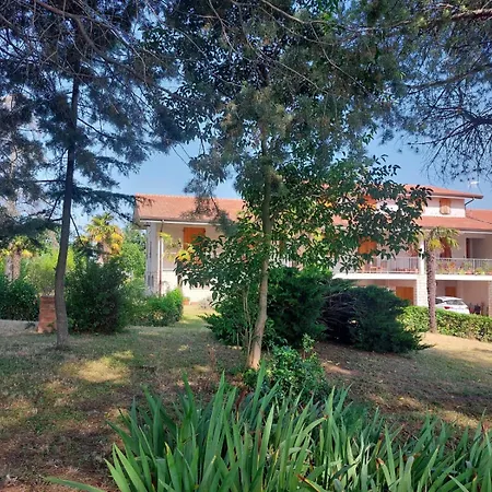 Countryshore סניגליה